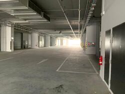 REVV (D22), Factory #537072461